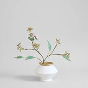 Eucalyptus Seed Stem