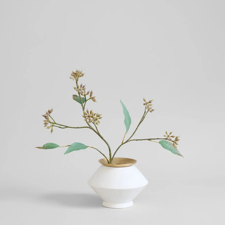Eucalyptus Seed Stem