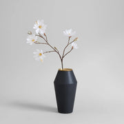 Star Magnolia Stem