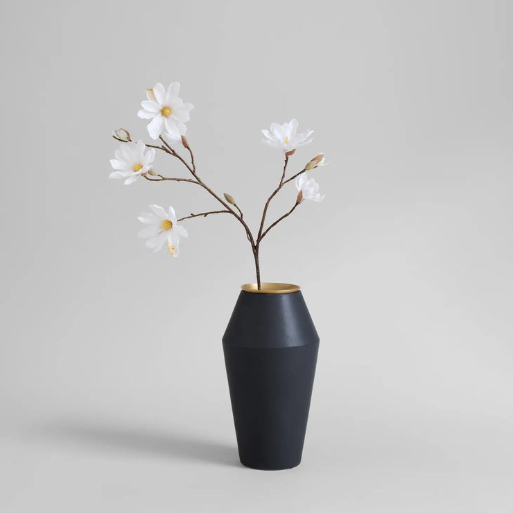 Star Magnolia Stem
